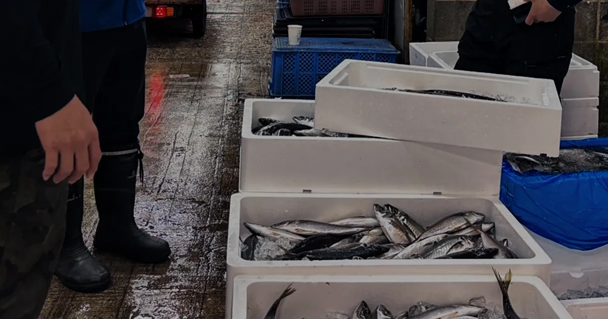魚市場の写真